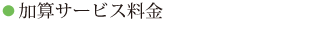加算サービス料金（介護保険対象）