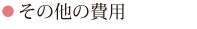 その他の費用