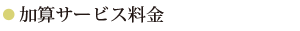 加算料金（該当される方のみ）