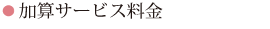 加算料金（該当される方のみ）